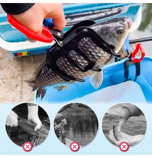 Heute 50% RabattKomfortabler, fester Fischkrallengreifer Heute 50% RabattKomfortabler, fester Fischkrallengreifer